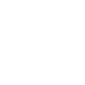 Выполненные проекты: Kurchatovskaya shkola